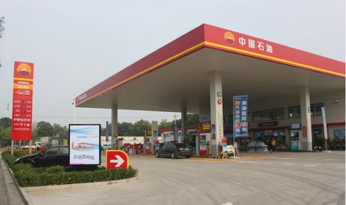 今后要全面禁售燃油车 燃油车还有未来吗 中石油说了个数字